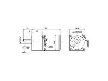 AC-Getriebemotor und Getriebe 60YN06