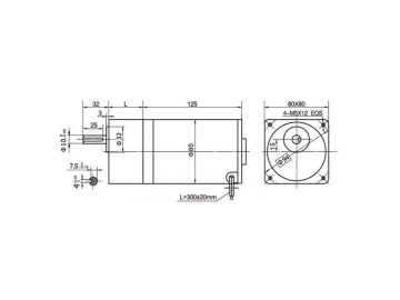 Permanenterregter DC-Getriebemotor 80JB100K/80ZY115