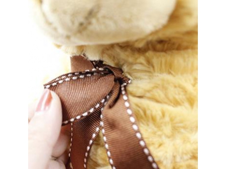 Kuscheltier Teddybär