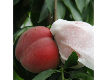 Obst- und Traubenschutzbeutel