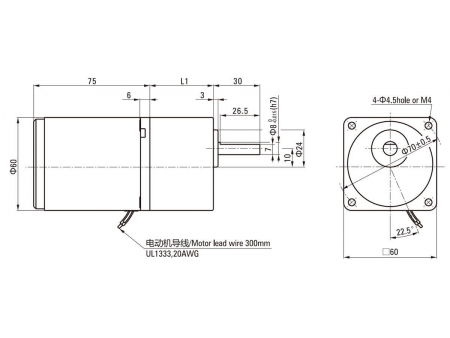 60mm 6W  Reversibler Motor