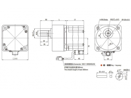 S Serie DC Flachgetriebemotor (bürstenlos)