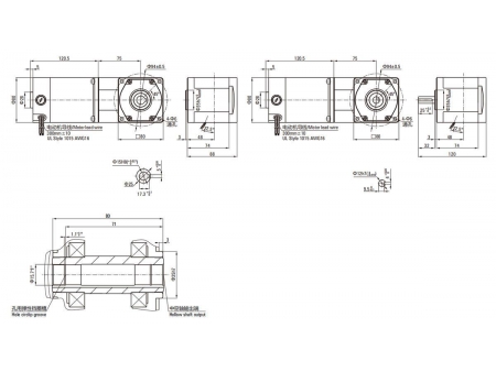 80mm 25W  DC Getriebemotor/ Bürstenmotor