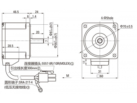 DC Getriebemotor Rundwellentyp (bürstenlos)