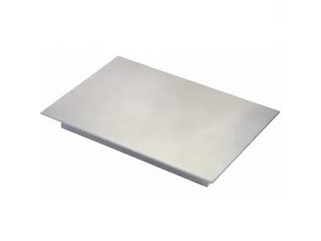 Plattenmagnet