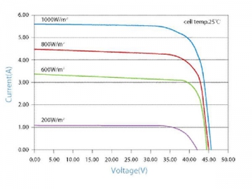 30V 235W/240W/245W/250W/255W schwarzes monokristallines Solarmodul