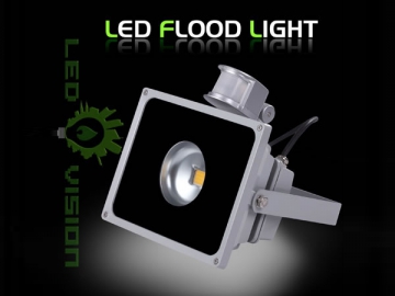 30W LED-Fluter