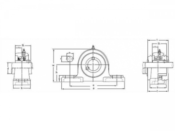 UCP2, NAP2 Serie